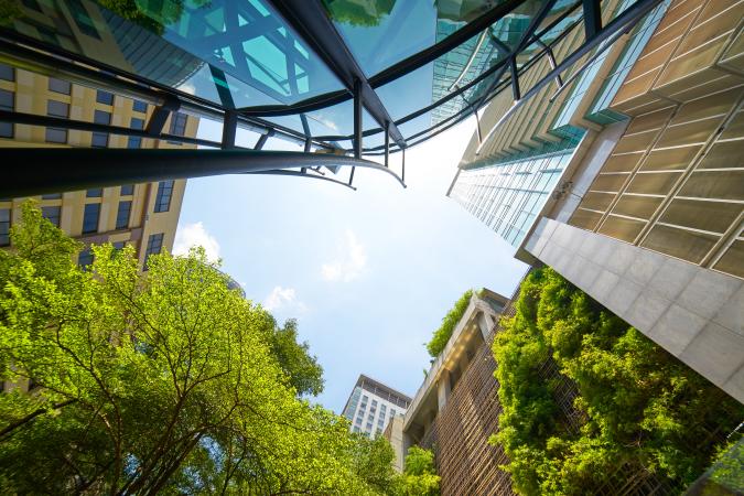 Greenery and finance buildings