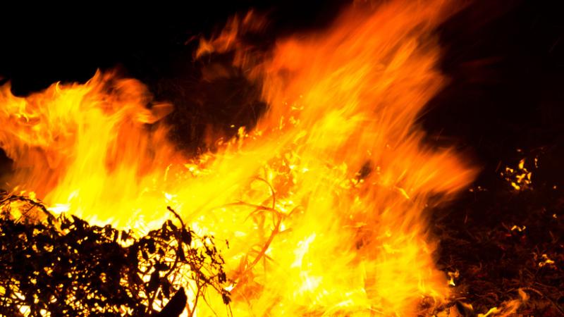 Forest fire