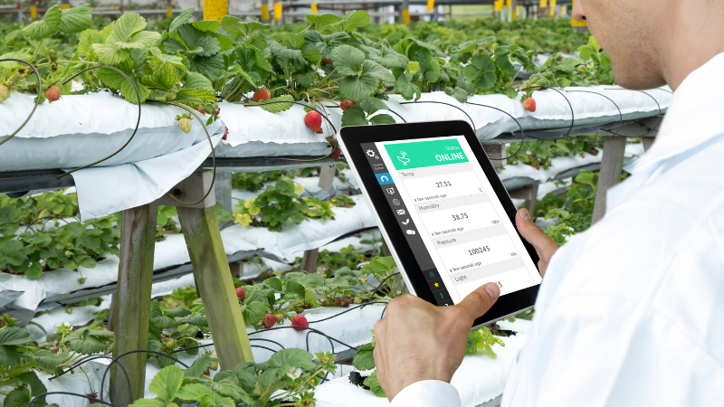 Vaisala Sensors Used with Damatex Climate Control Systems