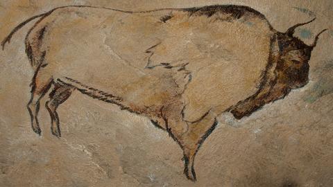  Comment préserver 18 000 ans d'œuvres d'art