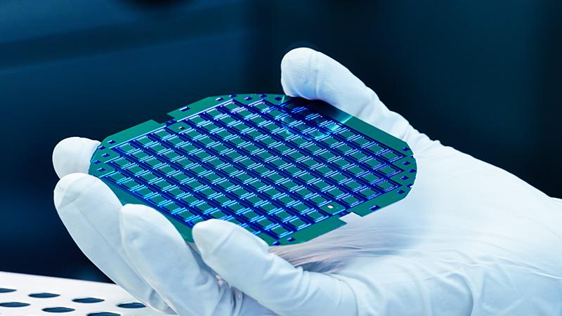 Wafer in hand