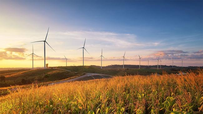 Wind mills on a meadow